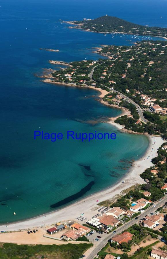 Vue Mer Panoramique Plage 50M Porticcio Corse Экстерьер фото
